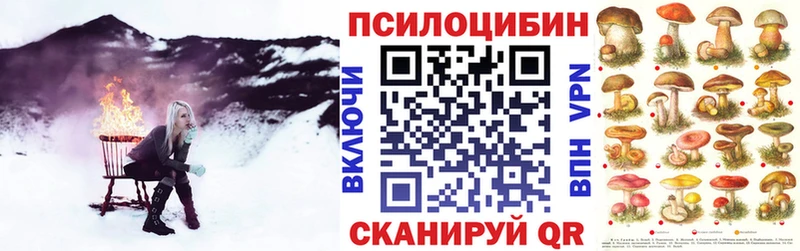 как найти закладки  Орехово-Зуево  Псилоцибиновые грибы Psilocybine cubensis 